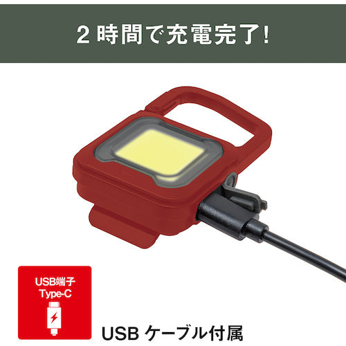 ｍｕｓａｓｈｉ　充電式スーパーフラッシュライト６Ｗレッド