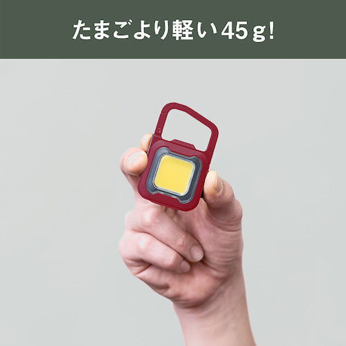 ｍｕｓａｓｈｉ　充電式スーパーフラッシュライト６Ｗレッド