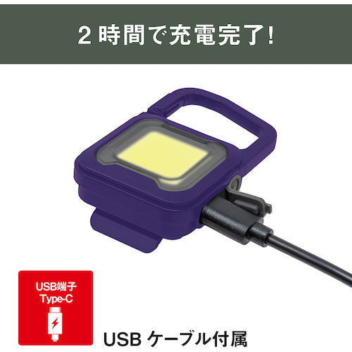 ｍｕｓａｓｈｉ　充電式スーパーフラッシュライト６Ｗパープル