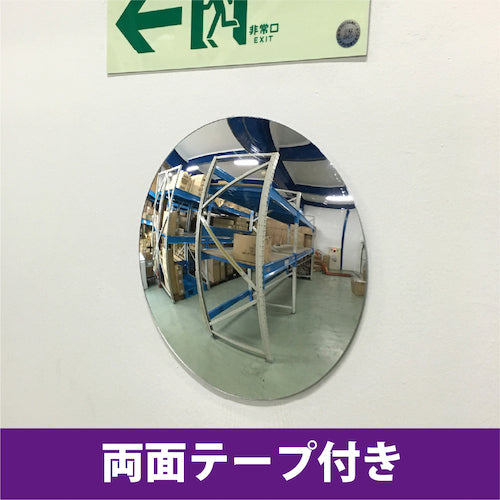 ＣＡＲ−ＢＯＹ　カラープラポール　どこでもミラー