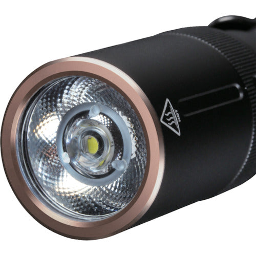ＦＥＮＩＸ　ＬＥＤライト　Ｅ２０Ｖ２
