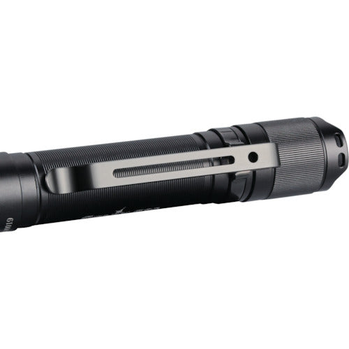 ＦＥＮＩＸ　ＬＥＤライト　Ｅ２０Ｖ２