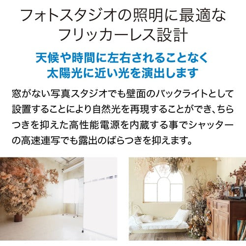 ｅｃｏｒｉｃａ　高演色　直管形ＬＥＤランプＬ３Ａ２シリーズ　４０形　昼光色（６５００Ｋ）タイプ