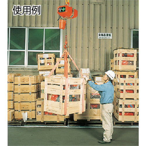 象印 三相200V FB4型 電気チェーンブロック(2速型)