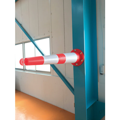 ＣＡＲ−ＢＯＹ　フジヤマコーン