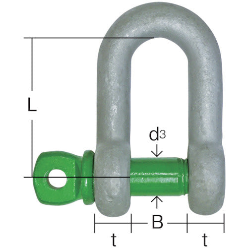 大洋 グリーンピンスタンダードシャックル ストレート・捻込