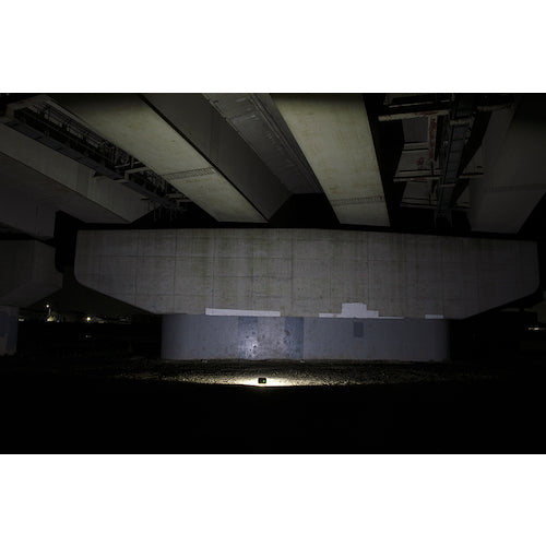 ＧＥＮＴＯＳ　充電式ＣＯＢ　ＬＥＤ高出力型投光器　Ｇａｎｚ３１４