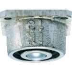 ＩＳＢ　イグチベアー　ＩＫ－１９