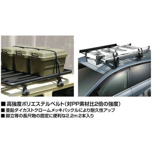 Ｃａｒｍａｔｅ　ハイグレードベルト２２０