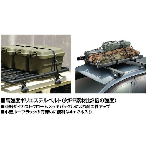 Ｃａｒｍａｔｅ　ハイグレードベルト４００