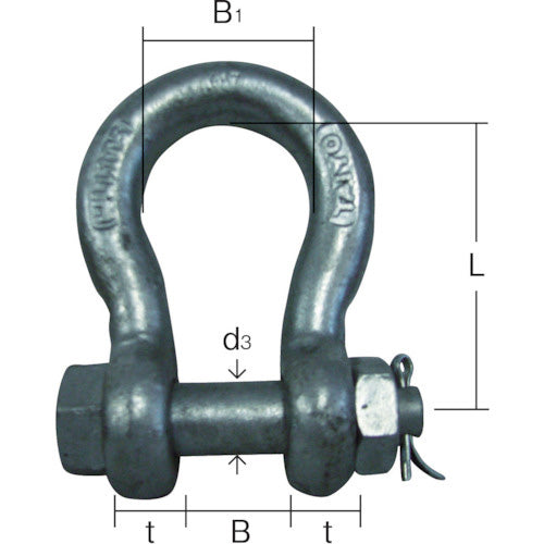 大洋 JISシャックル（M級）ドブ BB（バウ形）