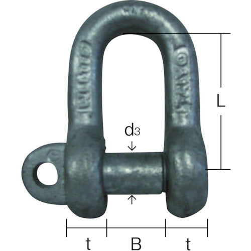 大洋 JISシャックル M級 ドブメッキ