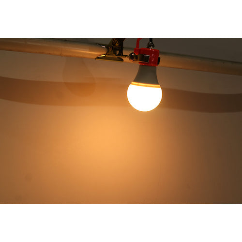 富士倉　ＬＥＤ−８Ｗクリップランプ　電球色