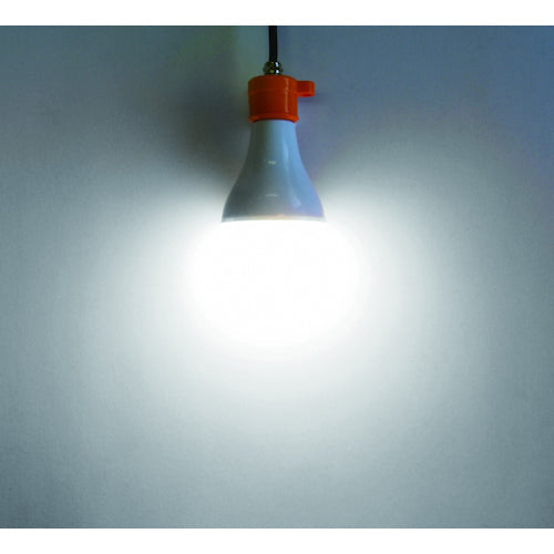富士倉　ＬＥＤ−１５Ｗクリップランプ　昼光色