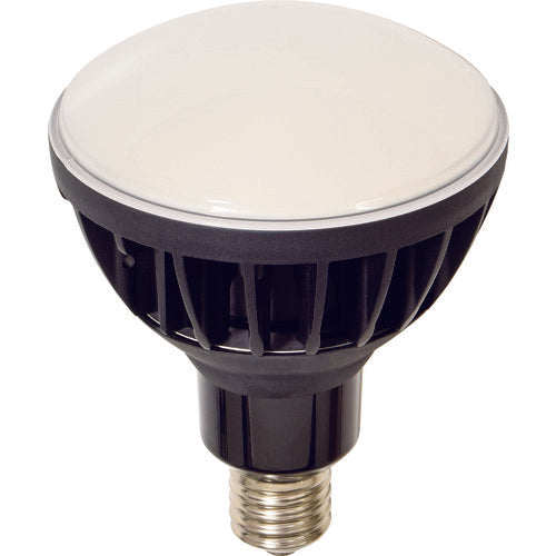 ＮＩＣＨＩＤＯ　ＬＥＤ交換球　ハイスペックエコビック５０Ｗ　Ｅ３９　本体黒
