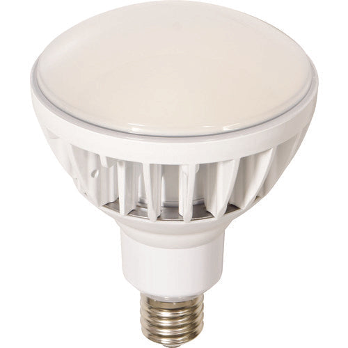 ＮＩＣＨＩＤＯ　ＬＥＤ交換球　ハイスペックエコビック５０Ｗ　Ｅ３９　本体白