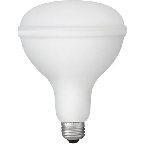 ＩＲＩＳ　１０７９４４　ＰＲＯＬＥＤＳ　ＬＥＤ電球　投光器用　２０００ｌｍ