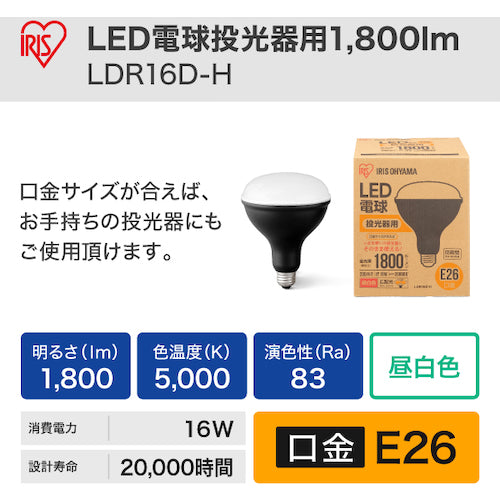 ＩＲＩＳ　５２２２０４　ＰＲＯＬＥＤＳ　ＬＥＤ電球投光器用１８００ｌｍ