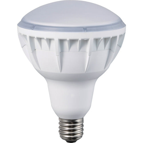 ハタヤ　４０Ｗ　ＬＥＤ作業灯用交換球