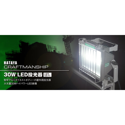 ハタヤ　３０Ｗ　ＬＥＤ投光器　１００Ｖ　３０Ｗ　１０ｍ電線付