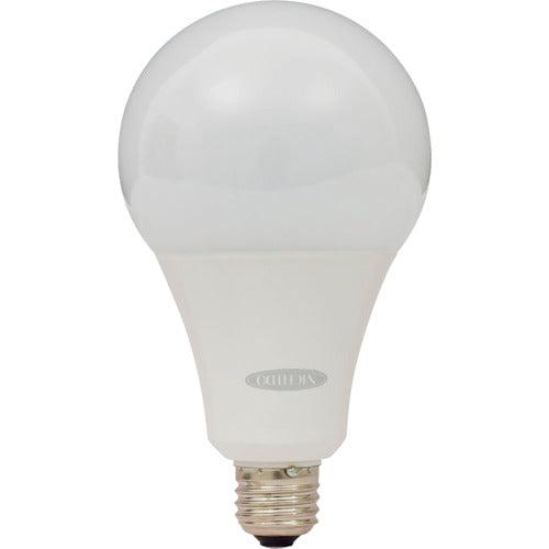 ＮＩＣＨＩＤＯ　ＬＥＤ電球２２Ｗ　フロスト