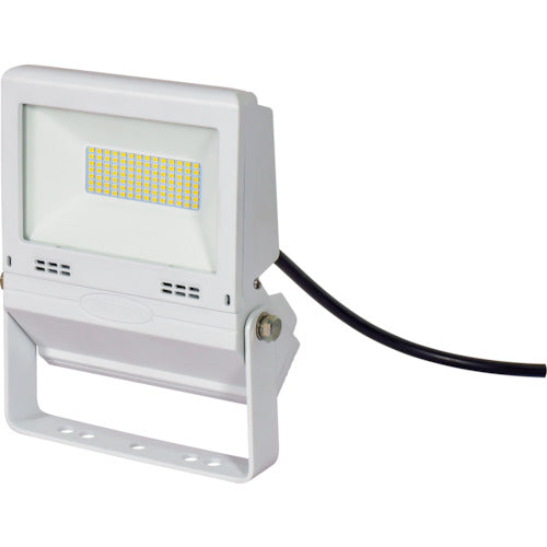 ＮＩＣＨＩＤＯ　ＬＥＤ投光器　常設用フラットライト３０Ｗ　白