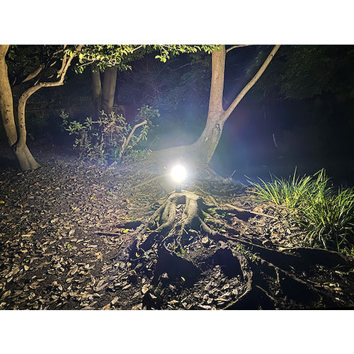ライティンゲイル　ＬＥＤミニランタンＢｏｎｆｉｒｅ＋３４００ｍＡｈ充電池