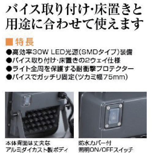 ハタヤ　３０Ｗ　ＬＥＤケイ・ライト