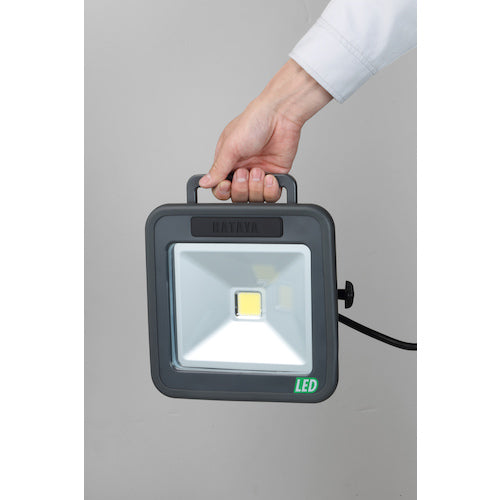 ハタヤ　３０Ｗ　ＬＥＤケイ・ライト