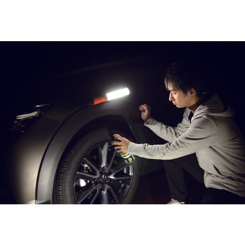 ＩＲＩＳ　５６８９８７　ＰＲＯＬＥＤＳ　ＬＥＤスティックライト