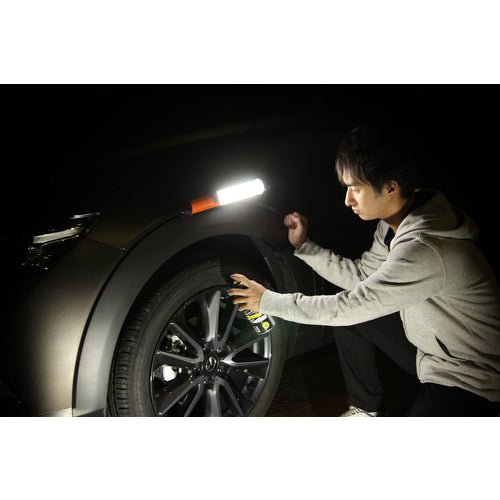 ＩＲＩＳ　５６８９８９　ＰＲＯＬＥＤＳ　ＬＥＤスティックライト