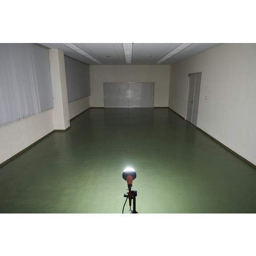 ＩＲＩＳ　１０７９４１　ＰＲＯＬＥＤＳ　ＬＥＤ投光器　２０００ｌｍ