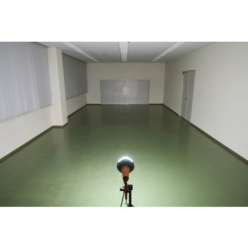 ＩＲＩＳ　１０７９４２　ＰＲＯＬＥＤＳ　ＬＥＤ投光器　３０００ｌｍ