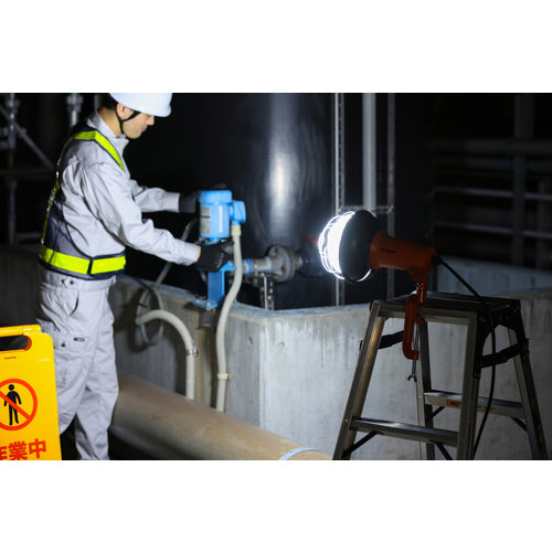 ＩＲＩＳ　１０７９４３　ＰＲＯＬＥＤＳ　ＬＥＤ投光器　５５００ｌｍ