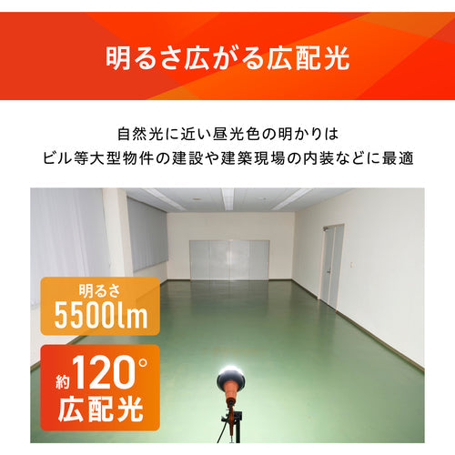 ＩＲＩＳ　１０７９４３　ＰＲＯＬＥＤＳ　ＬＥＤ投光器　５５００ｌｍ