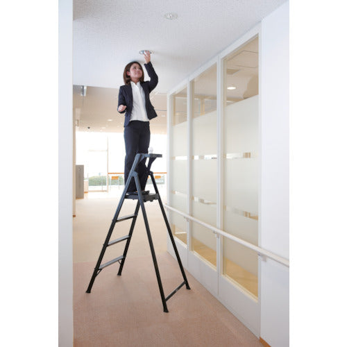 ＰｉＣａ　上わく付き踏台ＢｌａｃｋＥｄｉｔｉｏｎ　ＭＦＴ−ＢＫ型