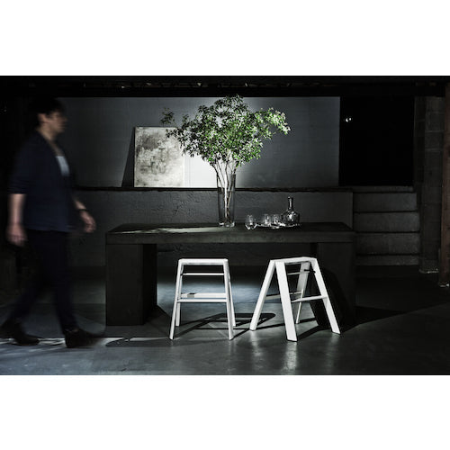 ハセガワ　踏台　ルカーノ　２ステップ　ホワイト（１７０１９）