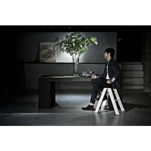 ハセガワ　踏台　ルカーノ　２ステップ　ホワイト（１７０１９）