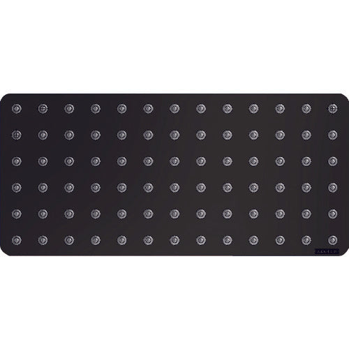 ＩＳＢ　イグチベアー　はるころシート