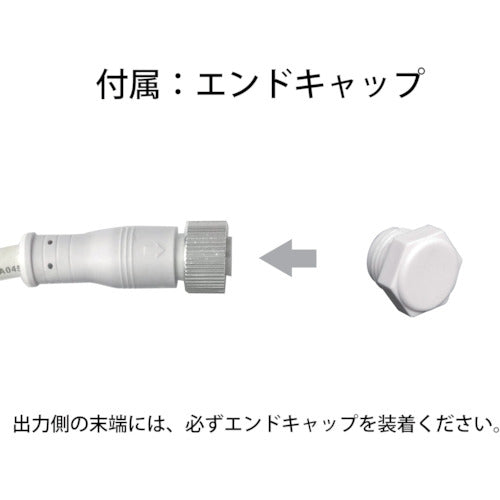 ｔｌｉｇｈｔ　ＬＥＤチューブストリング　シャンパンゴールド　Ｌ１０００