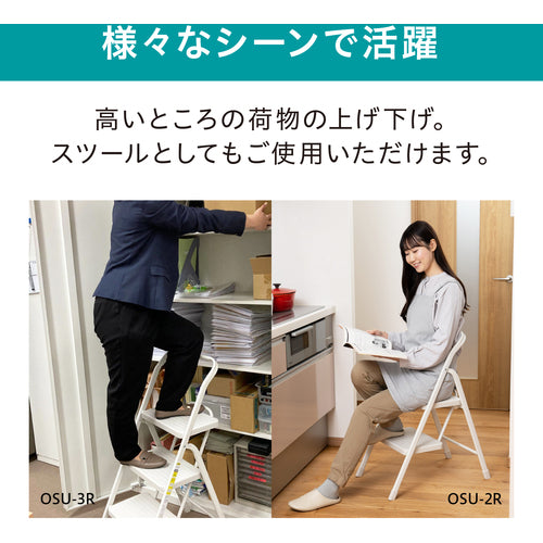 ＩＲＩＳ　２９９９５４　折りたたみステップ２段　ダークグレー　踏台・椅子・ディスプレイラック