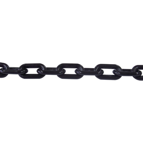 ニッサチェイン　プラカラーチェン　３０ｍ　黒