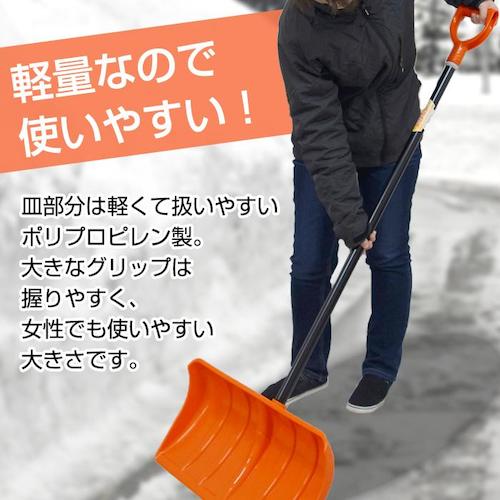 ＪＥＪアステージ　ラッセル　パイプエ　Ｒ−５５０