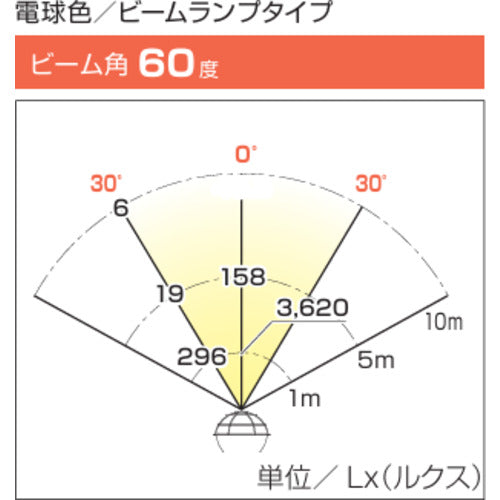 ハタヤ　ＬＥＤ作業灯　２０Ｗ電球色ビームタイプ　電線１０ｍ