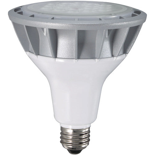 ハタヤ　ＬＥＤ作業灯　２０ＷＬＥＤランプ付