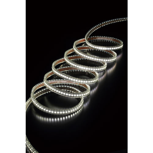 ハタヤ　ＬＥＤテープライトＲ片面セット