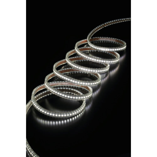 ハタヤ　ＬＥＤテープライトＲ片面