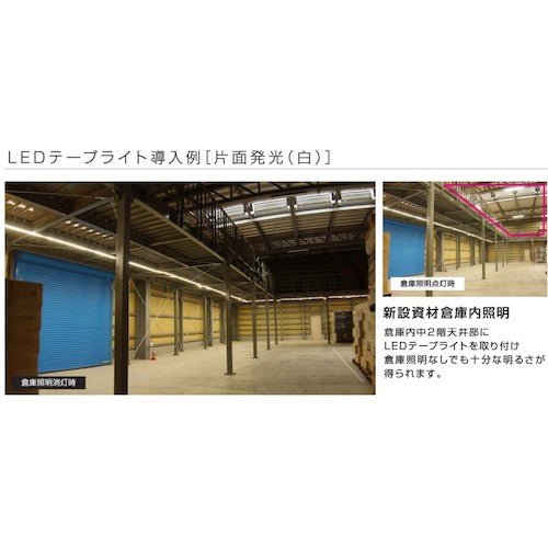 ハタヤ　ＬＥＤテープライトＲ片面