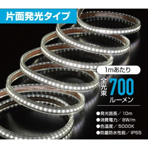 ハタヤ　ＬＥＤテープライトＲ片面