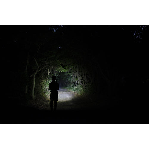 ＧＥＮＴＯＳ　充電式ＬＥＤハンディライト　レクシード２８５Ｒ